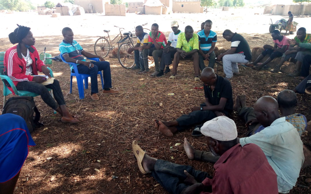 [Burkina Faso] Organisation Yinéyinédian pour la Nature et le Développement Durable